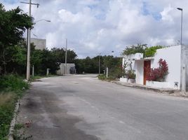  Grundstück zu verkaufen in Othon P Blanco, Quintana Roo, Othon P Blanco
