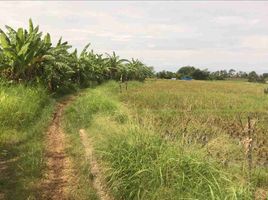  Land for sale in Kerambitan, Tabanan, Kerambitan