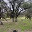  Land for sale in Dolores Hidalgo, Guanajuato, Dolores Hidalgo