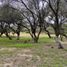 Land for sale in Dolores Hidalgo, Guanajuato, Dolores Hidalgo
