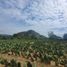  Land for sale in Tlalnepantla, Morelos, Tlalnepantla