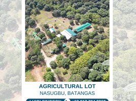  Land for sale in Nasugbu, Batangas, Nasugbu