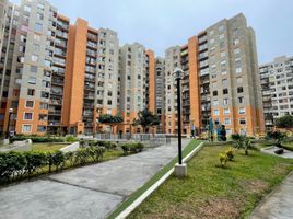 3 Habitación Departamento en alquiler en Perú, San Miguel, Lima, Lima, Perú