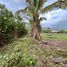  Terrain for sale in Catamayo La Toma, Catamayo, Catamayo La Toma