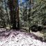  Land for sale in Mineral Del Chico, Hidalgo, Mineral Del Chico
