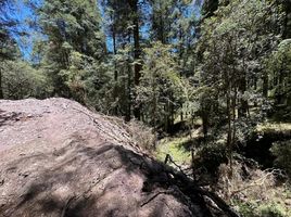  Land for sale in Mineral Del Chico, Hidalgo, Mineral Del Chico