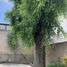 Villa 5 chambre à vendre à Monterrey, Nuevo Leon, Monterrey