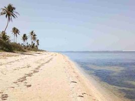  Terrain for sale in Bolinao, Pangasinan, Bolinao