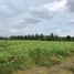  Land for sale in Bukidnon, Northern Mindanao, Manolo Fortich, Bukidnon