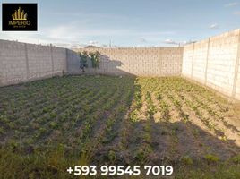  Land for sale in Cotacachi, Imbabura, Cotacachi, Cotacachi