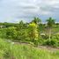  Land for sale in Consolacion, Central Visayas, Consolacion