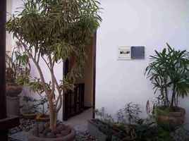 3 Bedroom House for sale in Bali, Denpasar Barat, Denpasar, Bali