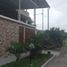 Terrain à vendre à Piura, Piura, Piura, Piura, Piura, Pérou
