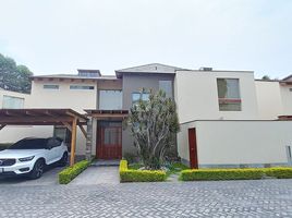 3 Habitación Villa en venta en Lima, La Molina, Lima, Lima