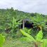  Land for sale in Manta, Manabi, Manta, Manta, Manabi