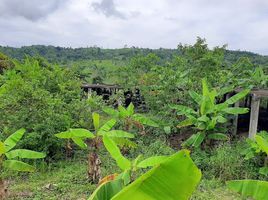  Land for sale in Manta, Manabi, Manta, Manta, Manabi