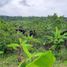  Land for sale in Manta, Manabi, Manta, Manta