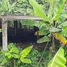 Land for sale in Manta, Manabi, Manta, Manta, Manabi