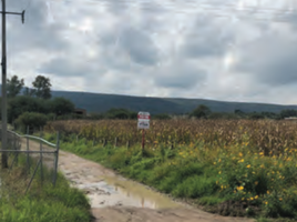  Grundstück zu verkaufen in Tlajomulco De Zuniga, Jalisco, Tlajomulco De Zuniga