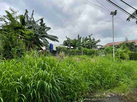  Land for sale in Paranaque City, Southern District, Paranaque City