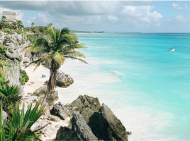 8 Schlafzimmer Haus zu verkaufen in Cozumel, Quintana Roo, Cozumel, Quintana Roo