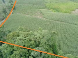  Land for sale in Santo Domingo De Los Colorados, Santo Domingo De Los Tsachilas, Santo Domingo De Los Colorados, Santo Domingo, Santo Domingo De Los Tsachilas