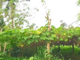 Terreno (Parcela) en venta en Tagaytay City, Calabarzon, Tagaytay City