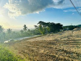  Land for sale in Barili, Cebu, Barili