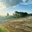  Land for sale in Cebu Central Visayas, Barili