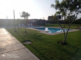  Terreno (Parcela) en venta en Lima, Mala, Cañete, Lima