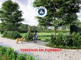  Terreno (Parcela) en venta en San Antonio, Ibarra, San Antonio