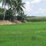  Land for sale in Badiangan, Iloilo, Badiangan