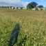 Land for sale in Muntinlupa City, Metro Manila, Muntinlupa City