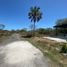  Land for sale in Ixil, Yucatan, Ixil