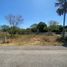  Land for sale in Ixil, Yucatan, Ixil