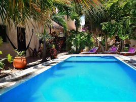 1 Bedroom Apartment for rent in Cozumel, Quintana Roo, Cozumel, Quintana Roo