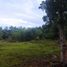 Terrain à vendre à Dauis, Central Visayas, Dauis