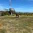  Land for sale in Los Lagos, Puerto Montt, Llanquihue, Los Lagos