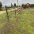  Land for sale in Melipilla, Santiago, Melipilla, Melipilla