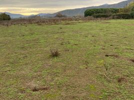  Land for sale in Melipilla, Santiago, Melipilla, Melipilla