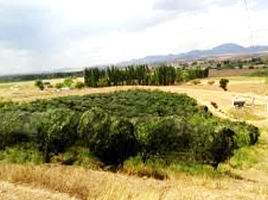  Land for sale in Guerrero, Chihuahua, Guerrero