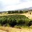  Land for sale in Guerrero Chihuahua, Guerrero