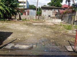  Terrain for sale in Pateros, Southern District, Pateros