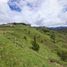  Land for sale in Penol, Antioquia, Penol