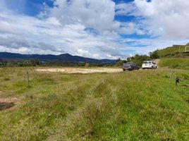  Land for sale in Penol, Antioquia, Penol