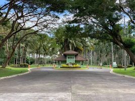  Land for sale in Tiaong, Quezon, Tiaong