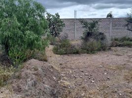  Grundstück zu verkaufen in Aguascalientes, Aguascalientes, Aguascalientes, Aguascalientes