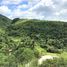  Terreno (Parcela) en venta en Balamban, Central Visayas, Balamban