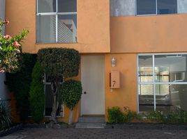 4 Habitación Apartamento en venta en Coyoacan, Ciudad de México, Coyoacan