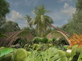  Grundstück zu verkaufen in Cozumel, Quintana Roo, Cozumel